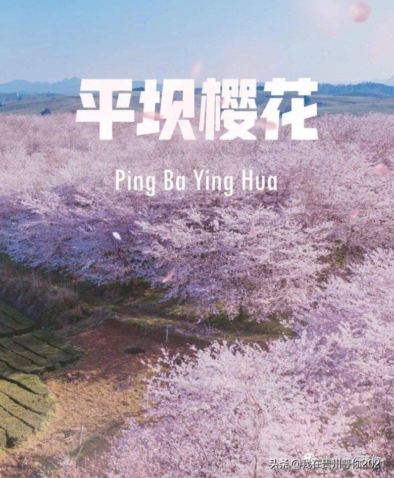 逃出上锁的现代房间3