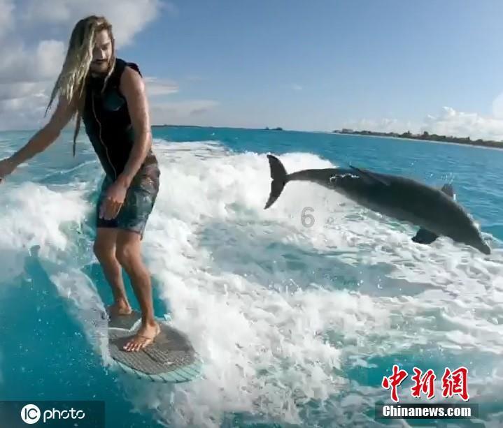 救援可爱的洋葱